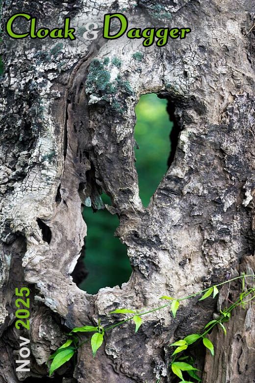 Cloak & Dagger November 2025 Newsletter Subscriber Exclusive