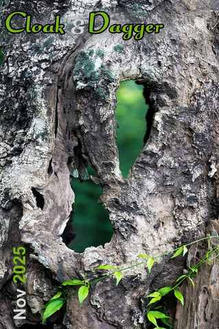Cloak & Dagger November 2025 Newsletter Subscriber Exclusive